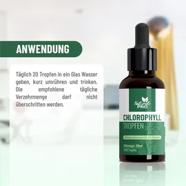 natural pro Chlorophyll Tropfen 50 ml
