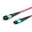LVO230402-MTP InfiniBand/Glasfaserkabel 2