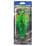 HOBBY Aquariendeko »Echinodrus, 20 cm«