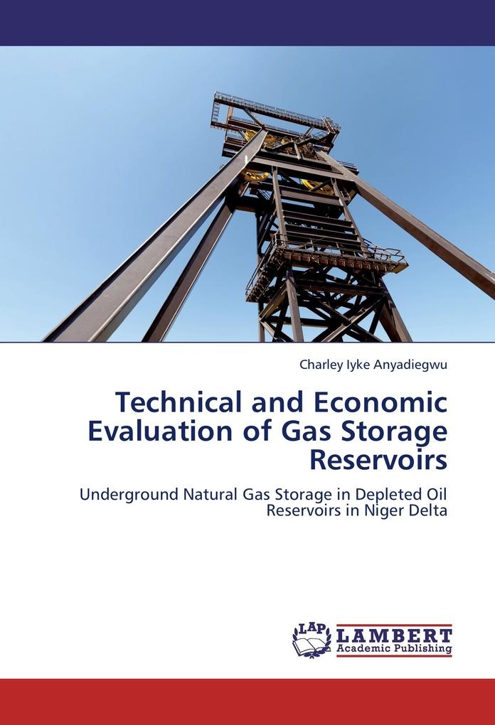 Technical and Economic Evaluation of Gas Storage Reservoirs: Buch von Charley Iyke Anyadiegwu