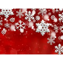 Tischsets | Platzsets – Weihnachten - Weiße Schneekristalle - 12 Stück aus Premium Papier - Die besondere Tischdekoration für die Weihnachtszeit