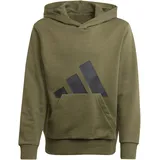 Adidas Essentials Big Logo Hoodie, Olive strata/Black, 9-10 Years