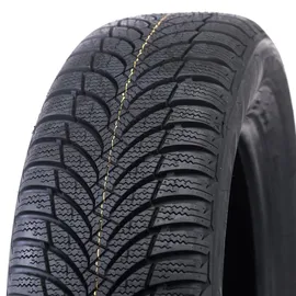 Roadstone Winguard Snow G WH2 205/60 R15 91H