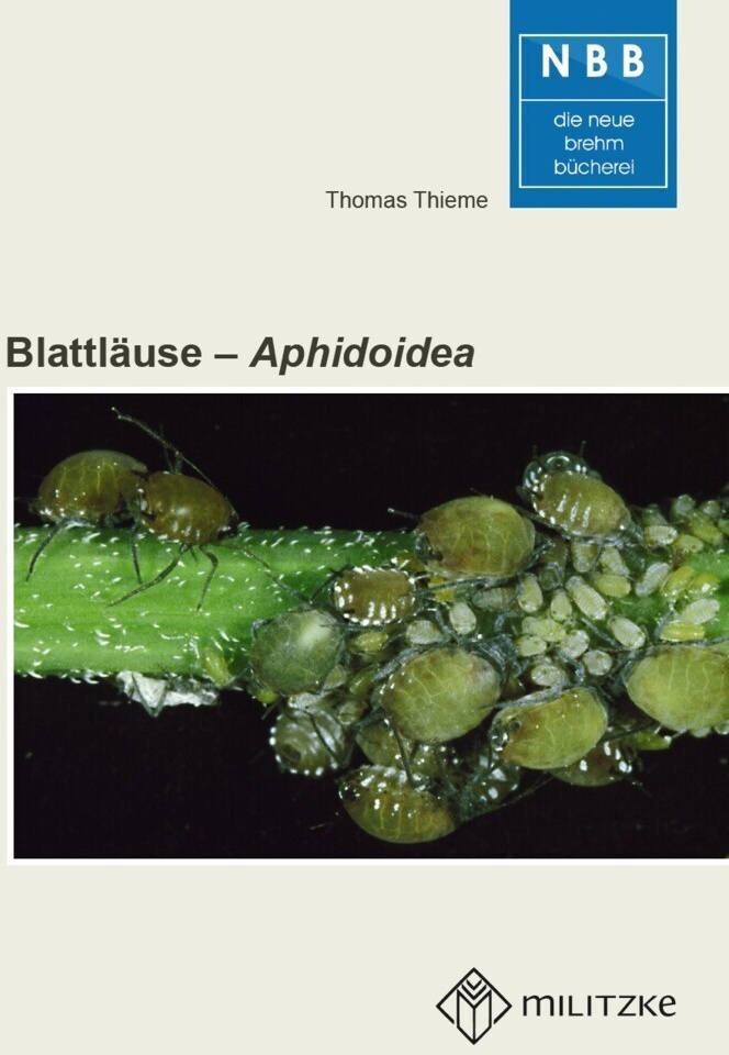 Blattläuse - Aphidoidea - Thomas Thieme  Kartoniert (TB)