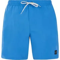 Protest Herren Badeshorts PRTBAKY, Gladio Blue, S