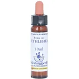 Bachblüten Star of Bethlehem Healing Her 10 ml