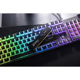 Kingston FURY Beast 16GB, DDR4-3600