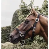 Kentucky Horsewear Halfter