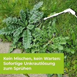 Protect Garden Permaclean Express Unkrautfrei AF 1