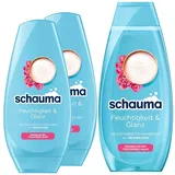 Schauma Feuchtigkeits-Shampoo Feuchtigkeit & Glanz (1x 400 ml) reinigt die Kopfhaut sanft für glänzendes & gesund aussehendes Haar & Spülung (2x 250 ml) Haarspülung mit Reiswasser