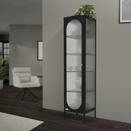 ML-Design Vitrinenschrank 42 x 175 x 40 cm Schwarz