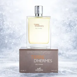 Hermès Terre d'Hermès Eau Givrée Eau de Parfum refillable 175 ml