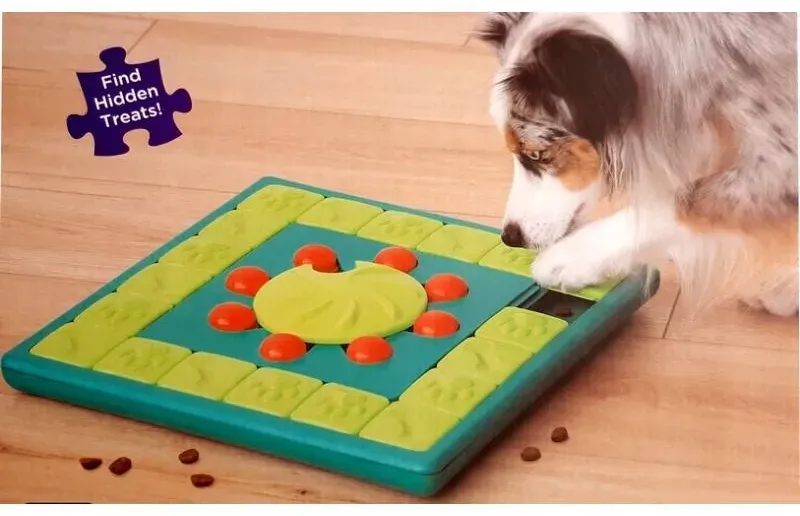 Nina Ottosson Dog MultiPuzzle - Lernspiel Level 4 (Rabatt für Stammkunden 3%)