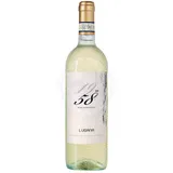 Chardonnay 1958 Wine Experience IGP 2023 0,75l