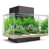 Fluval Edge 2.0 23l schwarz, 1 Stück (1er Pack)