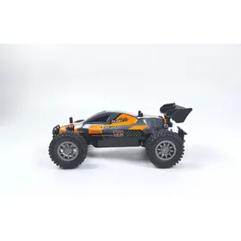 DF-Models RC-Buggy Rookie Fighter 2,4GHz RTR mehrfarbig (3147)