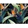 A.S. Création Vliestapete Blumentapete 2 cm x 10 m 1 St Orange/Schwarz