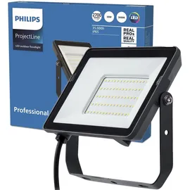 Philips Außenstrahler Metall 2,8 cm inkl. Bewegungsmelder schwarz
