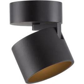neuhaus pure Paul Neuhaus 1 Leuchtmittel schwarz