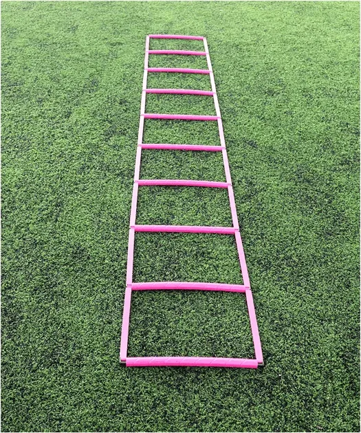 Cawila LIGA Speed 30x40cm Koordinationsleiter Pink F1000706350