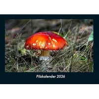 Vero Kalender Pilzkalender 2026 Fotokalender DIN A4 von Tobias