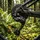 Shimano Alivio RD-M3100 Schaltwerk 9-fach