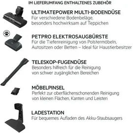 AEG Animal 5000 Akku-Staubsauger AS52AB18UG