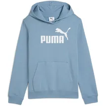 Puma Hoodie Coolblue 176