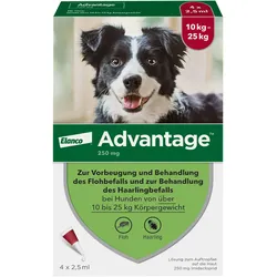Advantage 250 Hund
