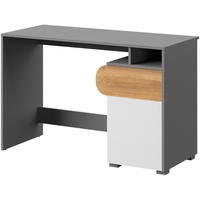 Marmex Möbel Schreibtisch, Schülerschreibtisch CARINI 08
