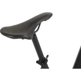 adore-bikes C-200 20 Zoll RH 43 cm Unisex schwarz