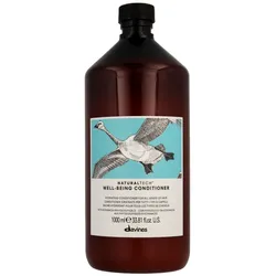 Entwirrender Conditioner Davines Well-Being Feuchtigkeitsspendend
