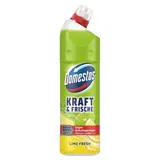 Domestos WC-Reiniger Gel extra stark 750 ml