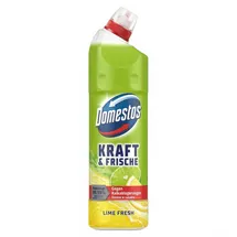 Domestos WC-Reiniger Gel extra stark 750 ml