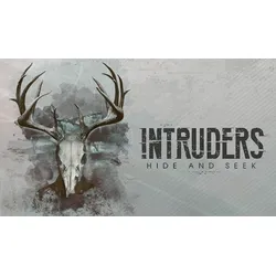 Intruders Hide and Seek