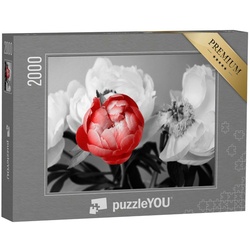 puzzleYOU Puzzle Rote Pfingstrose vor schwarz-weißem Hintergrund, 2000 Puzzleteile, puzzleYOU-Kollektionen Fotokunst