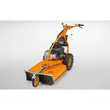 AS-Motor AS Motor AS 65 4T Briggs & Stratton Allmäher