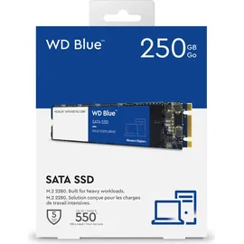 Western Digital Blue 3D NAND 250 GB WDS250G2B0B