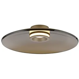 Paul Neuhaus Neuhaus PURE LED-Deckenleuchte Pure Moon Alu, Eisen, Stahl & Metall Braun Bronze 50 cm