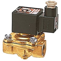 Riegler 102852-MV 2217 G 2/2-Wege-MV, MS, NO, zwangsg, 24