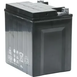 Exide AGM12-31 30 Ah 430 A