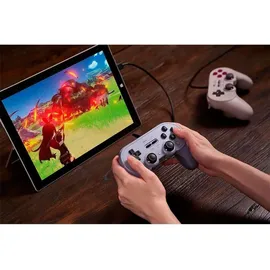 8bitdo Pro 2 Controller Grau für Switch / PC
