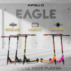 Apollo Eagle Schwarz/Gold