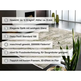 OCI DIE TEPPICHMARKE OCI CAVA", Teppich BES04 963 grau-grün 300 x 400 cm
