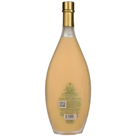 Bottega Crema di Meloncino 15% Vol. 0,5 l