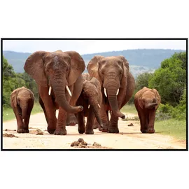 Papermoon Infrarotheizung Afrikanische Elefantenherde, sehr angenehme Strahlungswärme bunt