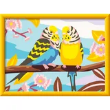 Ravensburger Bunte Wellensittiche