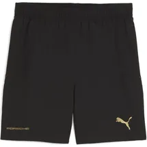 Puma X Porsche Short 911 Spirit 70 Herren Shorts, grün M