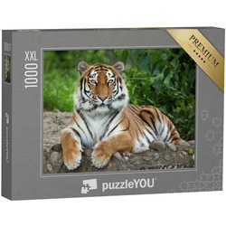 puzzleYOU Puzzle Puzzle 1000 Teile XXL „Sibirischer Tiger, auch bekannt als Amur-Tiger“, 1000 Puzzleteile, puzzleYOU-Kollektionen Tiger, Tiere in Savanne & Wüste