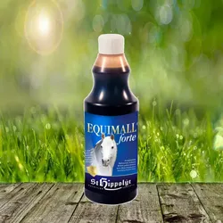 St. Hippolyt EquiMall forte 500 ml - zur Verbesserung von Appetit, Verdauung & Leistungskraft